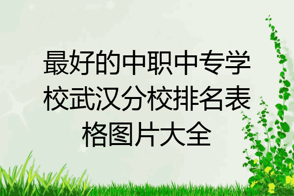 最好的中职中专学校武汉分校排名表格图片大全