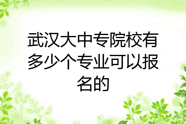 武汉大中专院校有多少个专业可以报名的