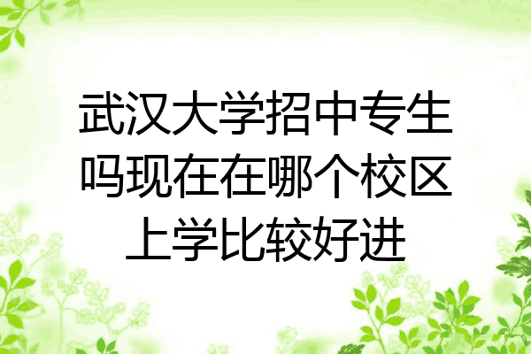 武汉大学招中专生吗现在在哪个校区上学比较好进