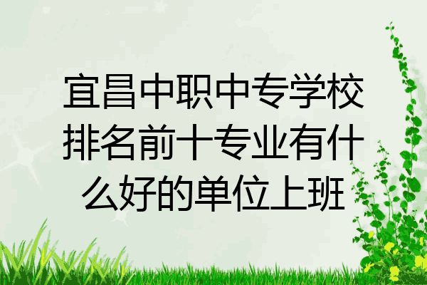 宜昌中职中专学校排名前十专业有什么好的单位上班