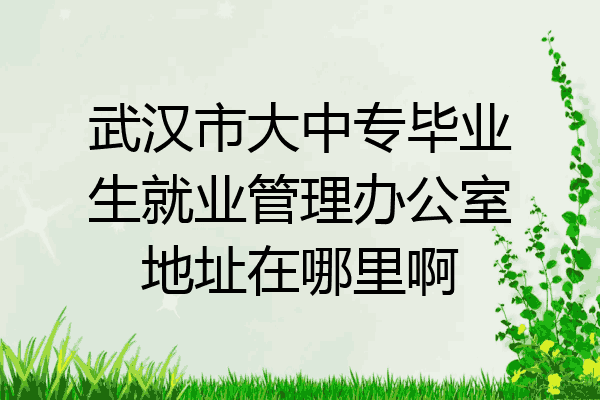 武汉市大中专毕业生就业管理办公室地址在哪里啊