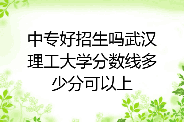 中专好招生吗武汉理工大学分数线多少分可以上