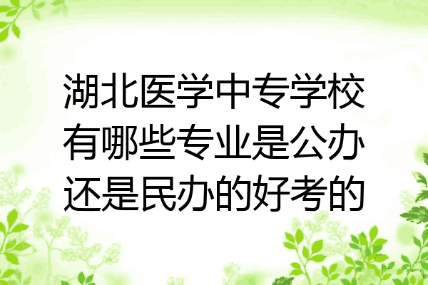 湖北医学中专学校有哪些专业是公办还是民办的好考的