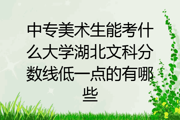 中专美术生能考什么大学湖北文科分数线低一点的有哪些