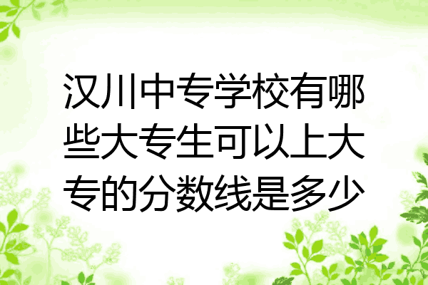 汉川中专学校有哪些大专生可以上大专的分数线是多少