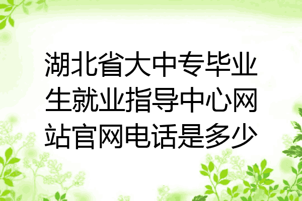 湖北省大中专毕业生就业指导中心网站官网电话是多少