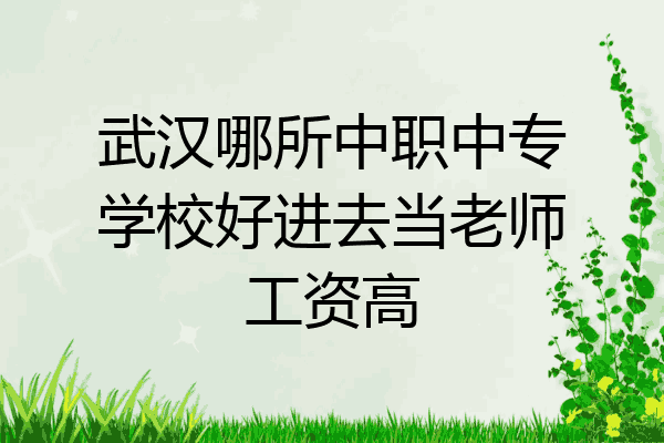 武汉哪所中职中专学校好进去当老师工资高