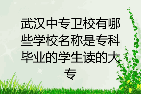 武汉中专卫校有哪些学校名称是专科毕业的学生读的大专