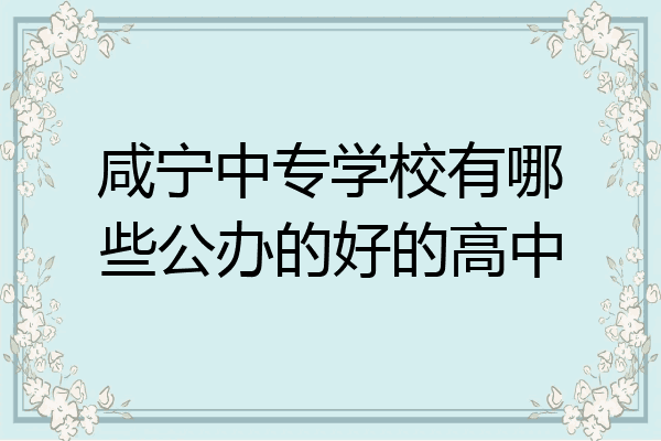 咸宁中专学校有哪些公办的好的高中