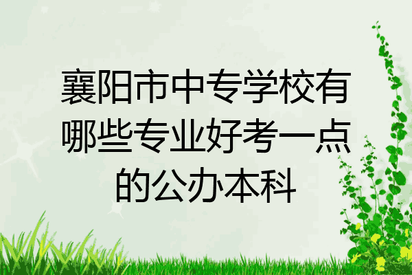 襄阳市中专学校有哪些专业好考一点的公办本科