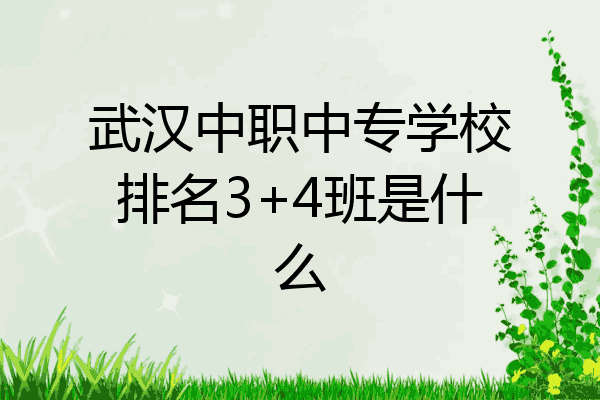 武汉中职中专学校排名3+4班是什么