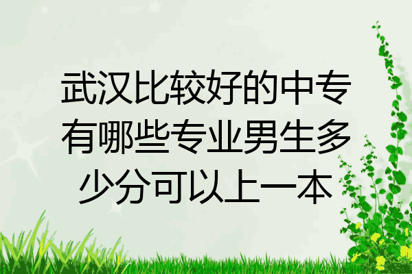 武汉比较好的中专有哪些专业男生多少分可以上一本