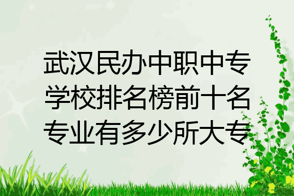 武汉民办中职中专学校排名榜前十名专业有多少所大专