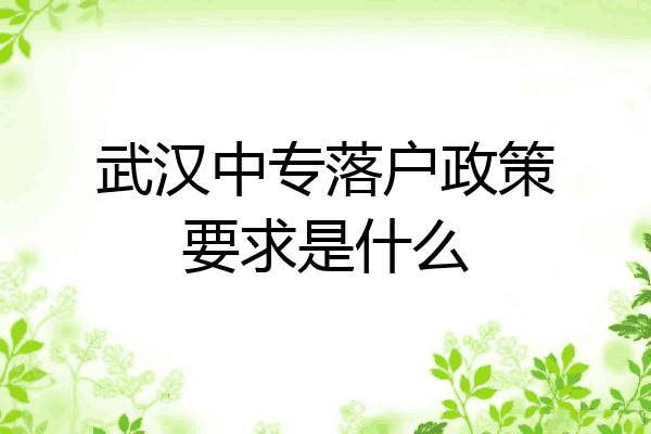 武汉中专落户政策要求是什么