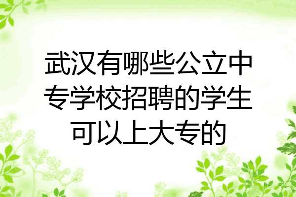 武汉有哪些公立中专学校招聘的学生可以上大专的
