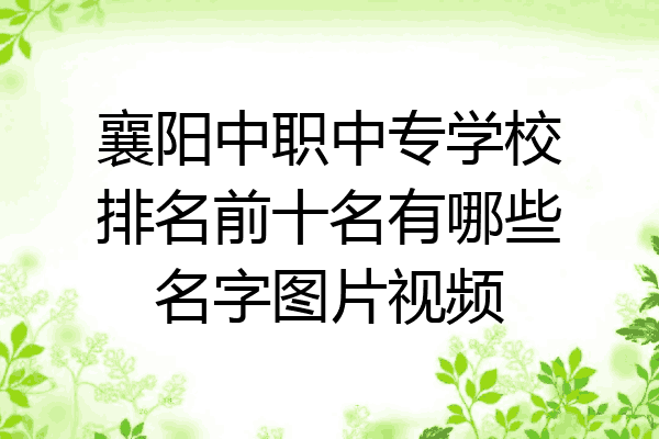 襄阳中职中专学校排名前十名有哪些名字图片视频