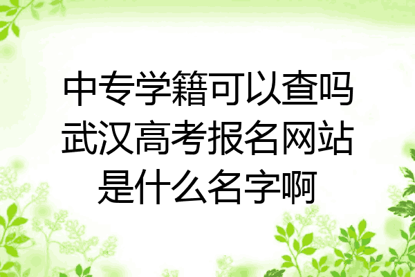 中专学籍可以查吗武汉高考报名网站是什么名字啊