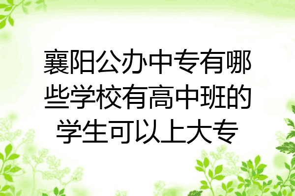 襄阳公办中专有哪些学校有高中班的学生可以上大专