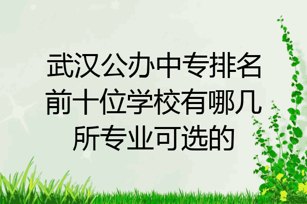 武汉公办中专排名前十位学校有哪几所专业可选的