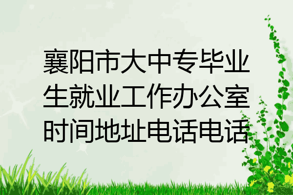 襄阳市大中专毕业生就业工作办公室时间地址电话电话
