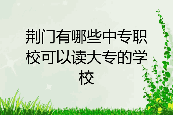 荆门有哪些中专职校可以读大专的学校