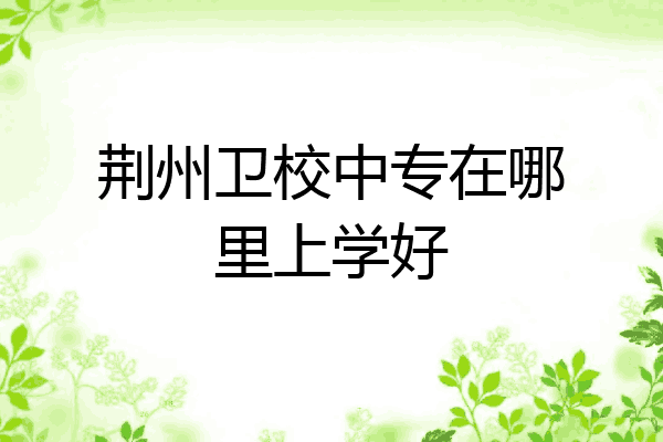 荆州卫校中专在哪里上学好