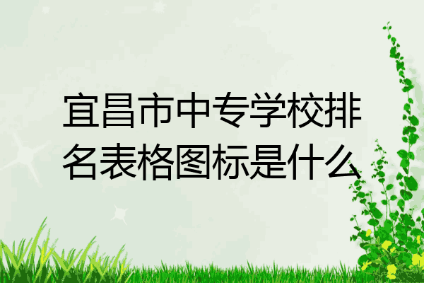 宜昌市中专学校排名表格图标是什么