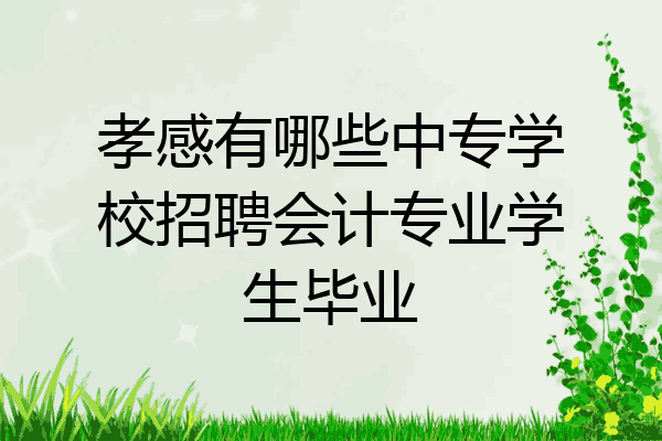 孝感有哪些中专学校招聘会计专业学生毕业