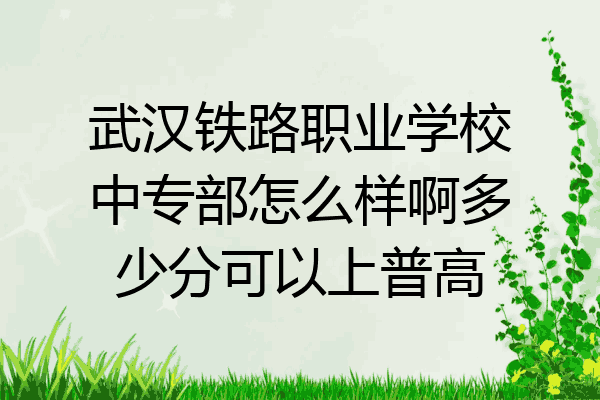 武汉铁路职业学校中专部怎么样啊多少分可以上普高