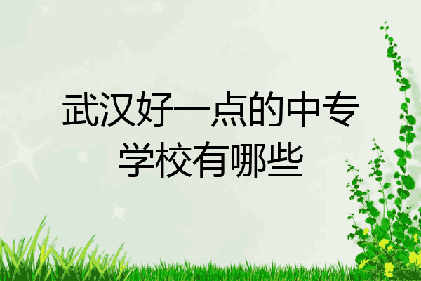 武汉好一点的中专学校有哪些