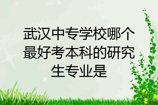 武汉中专学校哪个最好考本科的研究生专业是