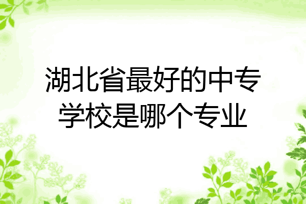 湖北省最好的中专学校是哪个专业
