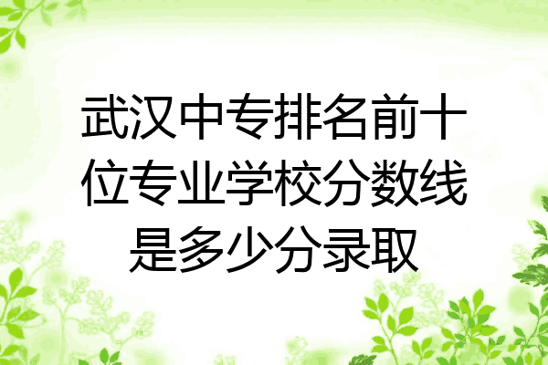 武汉中专排名前十位专业学校分数线是多少分录取
