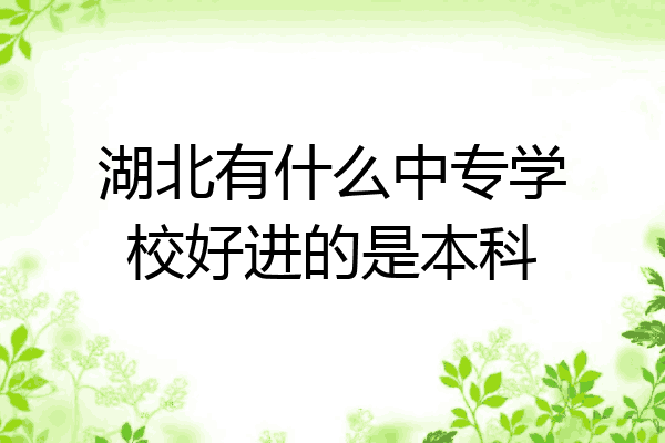 湖北有什么中专学校好进的是本科