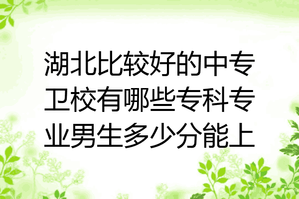 湖北比较好的中专卫校有哪些专科专业男生多少分能上