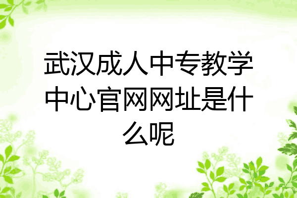 武汉成人中专教学中心官网网址是什么呢