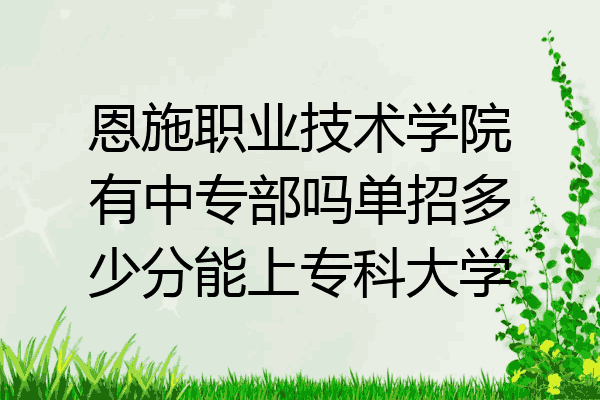 恩施职业技术学院有中专部吗单招多少分能上专科大学