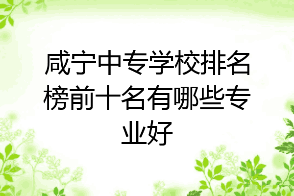咸宁中专学校排名榜前十名有哪些专业好