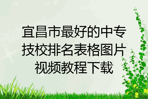 宜昌市最好的中专技校排名表格图片视频教程下载