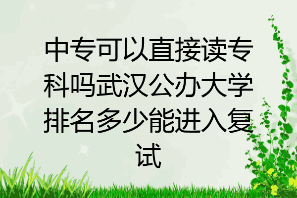 中专可以直接读专科吗武汉公办大学排名多少能进入复试