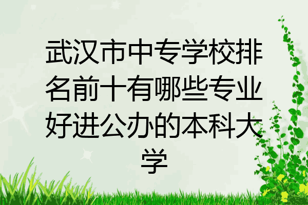 武汉市中专学校排名前十有哪些专业好进公办的本科大学