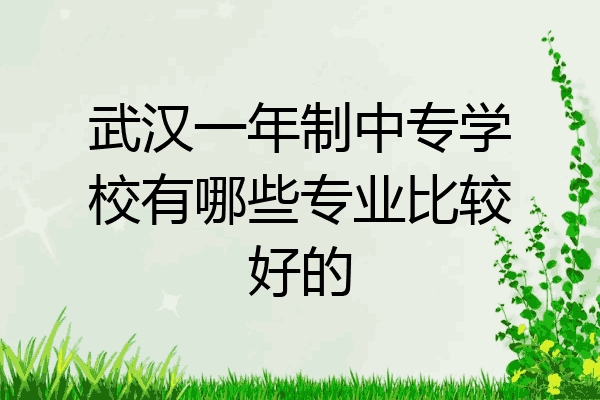 武汉一年制中专学校有哪些专业比较好的