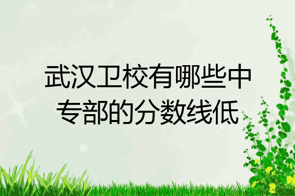 武汉卫校有哪些中专部的分数线低