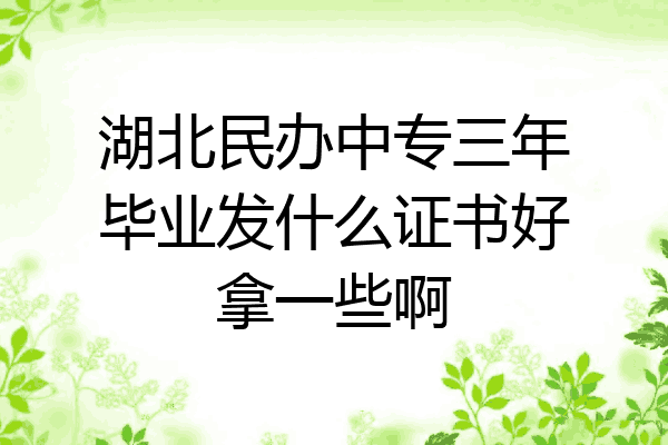 湖北民办中专三年毕业发什么证书好拿一些啊