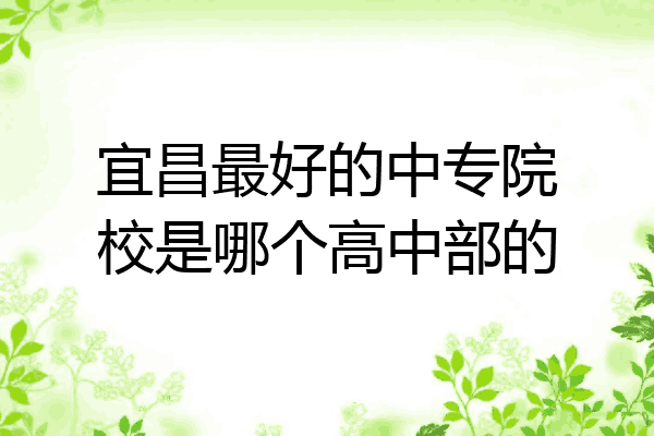 宜昌最好的中专院校是哪个高中部的