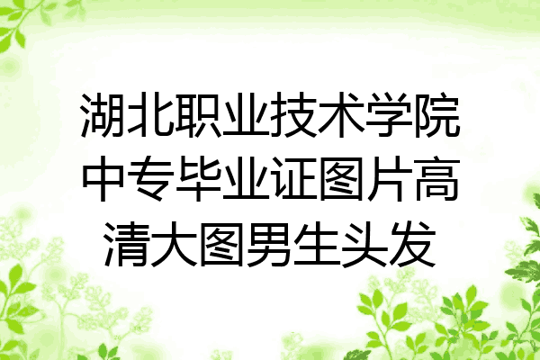 湖北职业技术学院中专毕业证图片高清大图男生头发