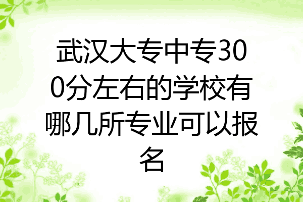 武汉大专中专300分左右的学校有哪几所专业可以报名