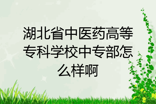 湖北省中医药高等专科学校中专部怎么样啊