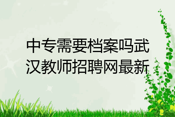 中专需要档案吗武汉教师招聘网最新