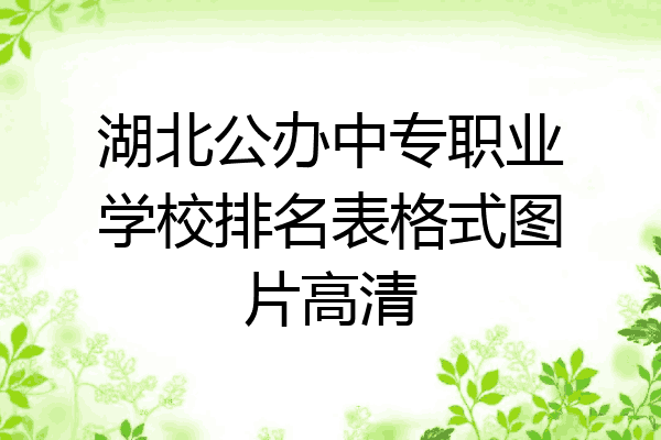 湖北公办中专职业学校排名表格式图片高清